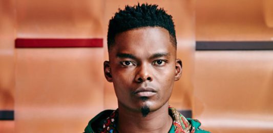 Dumi masilela