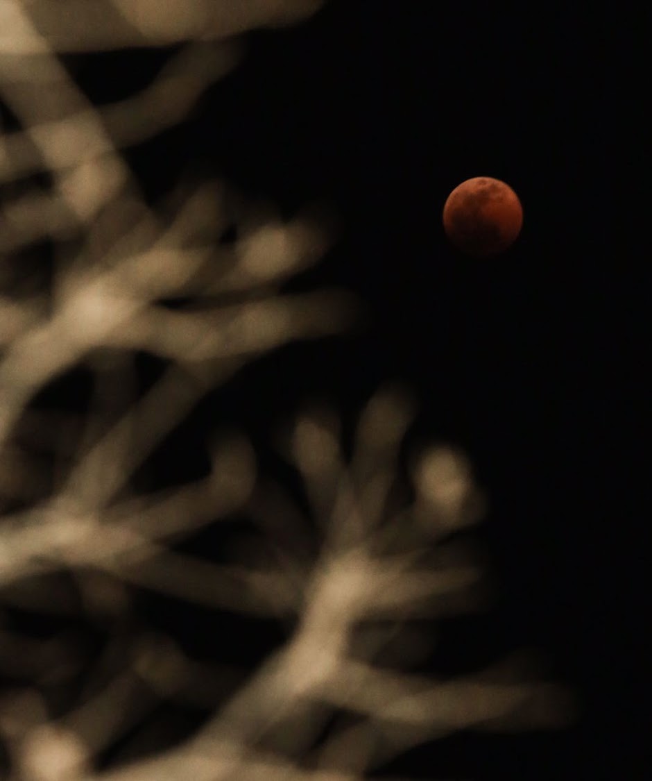 Blood Moon